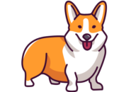 Pembroke Welsh Corgi Paws | The Cutest Corgi Puppies